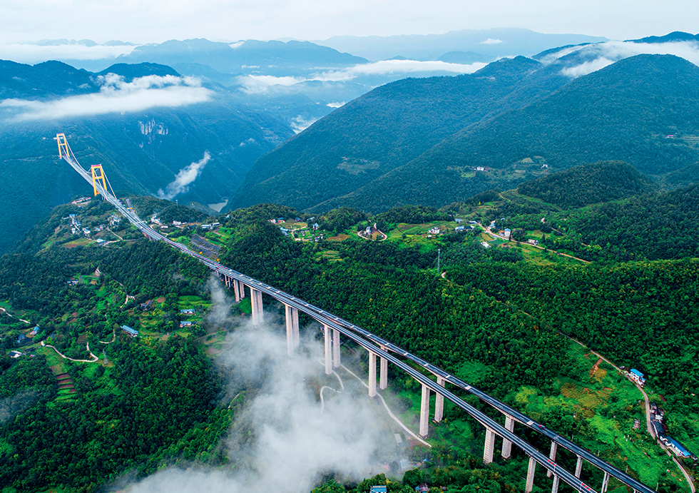 跨長江大橋的招標(biāo)咨詢